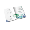 Flyers Brochures